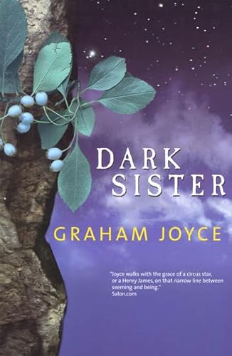 Imagen de archivo de Dark Sister a la venta por Better World Books