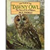 Stock image for The Year of the Tawny Owl -The Story of Ule of Dildawn for sale by Jerry Merkel