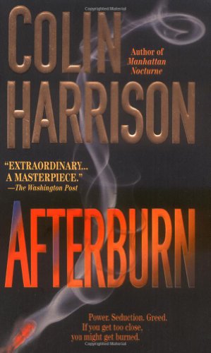 Beispielbild fr Afterburn: A Novel zum Verkauf von Wonder Book