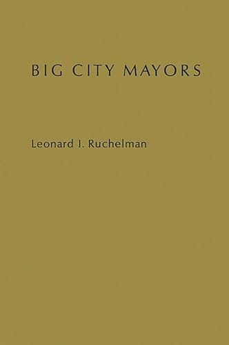 Imagen de archivo de Big City Mayors : The Crisis in Urban Politics a la venta por Better World Books