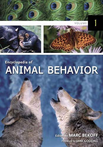 Beispielbild fr Encyclopedia Of Animal Behavior zum Verkauf von SecondSale