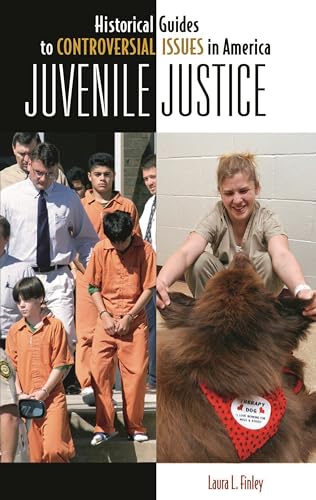 Imagen de archivo de Juvenile Justice a la venta por ThriftBooks-Dallas