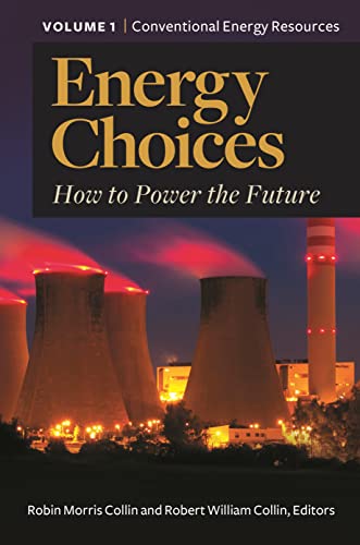 Imagen de archivo de Energy Choices: How to Power the Future a la venta por Revaluation Books