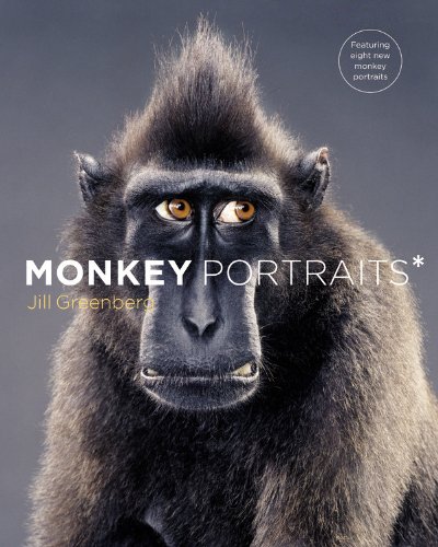 Stock image for Monkey Portraits for sale by Better World Books