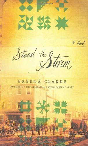 Imagen de archivo de Stand the Storm a la venta por Better World Books