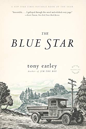 9780316008051: The Blue Star: A Novel