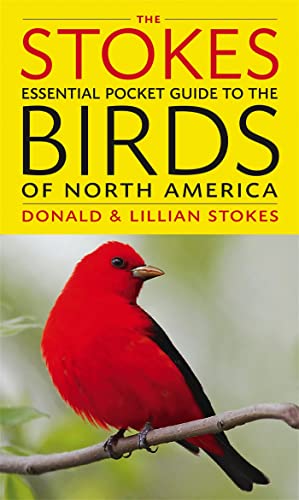 Beispielbild fr The Stokes Essential Pocket Guide to the Birds of North America zum Verkauf von SecondSale