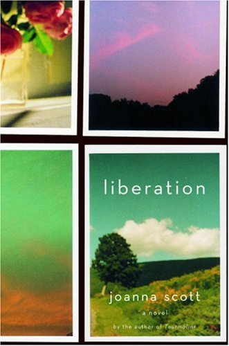 Beispielbild fr Liberation: A Novel zum Verkauf von Wonder Book