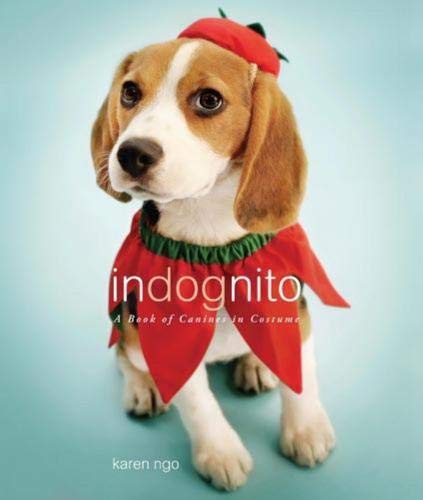 9780316035507: Indognito: A Book of Canines in Costume