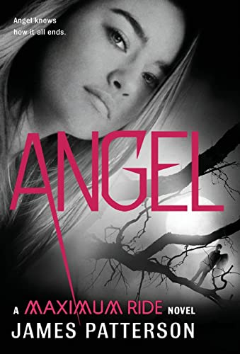 Stock image for Angel A Maximum Ride Novel for sale by SecondSale