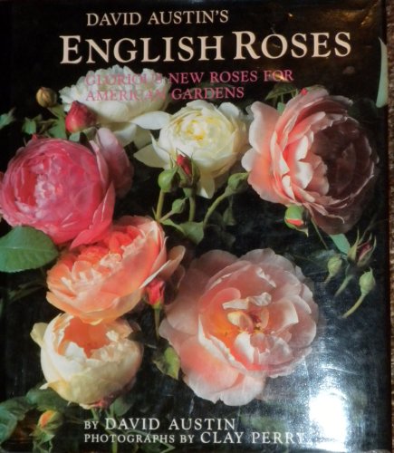 9780316059756: David Austin's English Roses