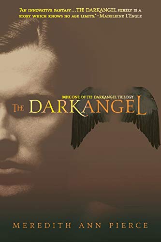 9780316067232: The Darkangel (The Darkangel Trilogy)