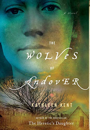 Beispielbild fr The Wolves of Andover: A Novel zum Verkauf von Your Online Bookstore