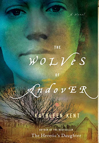 9780316068628: The Wolves of Andover