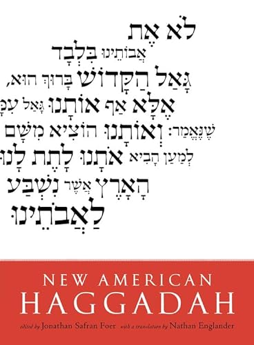 Beispielbild für New American Haggadah zum Verkauf von Ami Ventures Inc Books