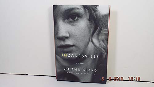 Stock image for In Zanesville: A Novel for sale by SecondSale