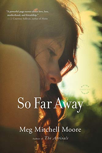 Beispielbild fr So Far Away: A Novel zum Verkauf von ZBK Books