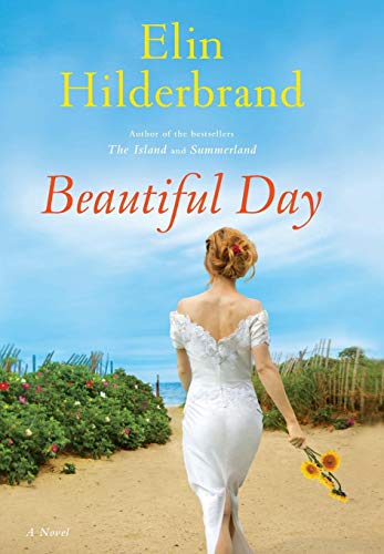 9780316099783: Beautiful Day: A Novel