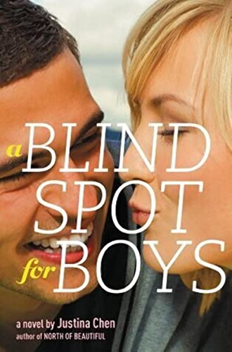 9780316102537: A Blind Spot for Boys