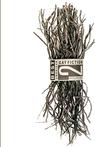 Imagen de archivo de Best American Gay Fiction #2 a la venta por Half Price Books Inc.