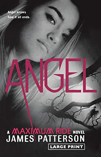 Stock image for ANGEL: A MAXIMUM RIDE NOVEL (MAX for sale by BennettBooksLtd
