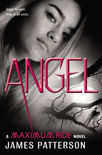 Stock image for Angel: A Maximum Ride Novel for sale by Better World Books