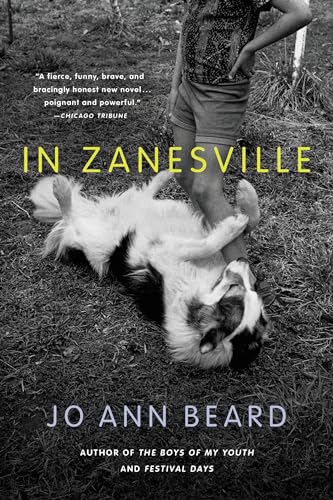9780316125277: In Zanesville: A Novel