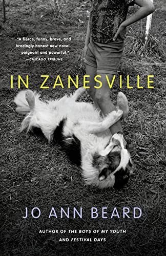9780316125277: In Zanesville: A Novel