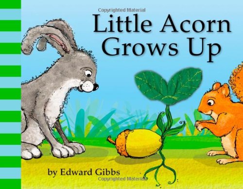 Imagen de archivo de Little Acorn Grows Up a la venta por ThriftBooks-Atlanta