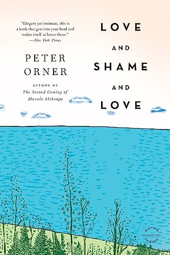 Beispielbild fr Love and Shame and Love : A Novel zum Verkauf von Better World Books