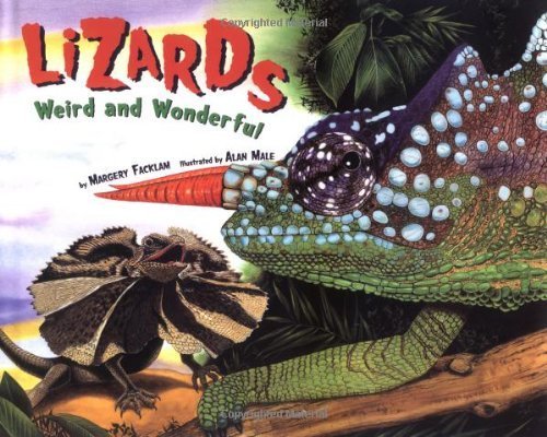 Stock image for Lizards : Weird and Wonderful for sale by Better World Books