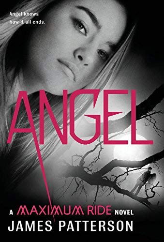 Stock image for Angel a Maximum Ride Novel for sale by Better World Books
