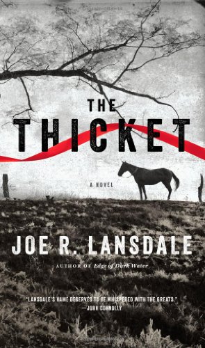 9780316188456: The Thicket