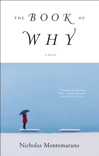 Beispielbild fr The Book of Why : A Novel zum Verkauf von Better World Books