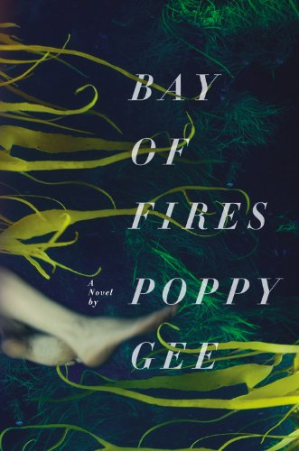 9780316201681: Bay of Fires: A Novel
