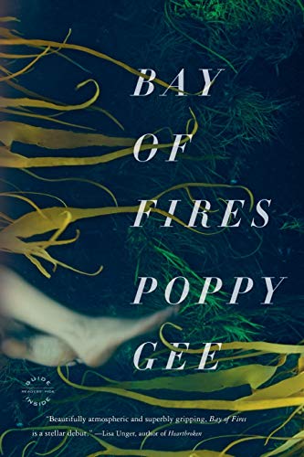 9780316201704: Bay of Fires: A Novel