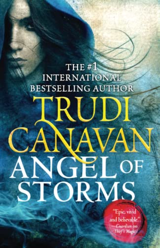 9780316209243: Angel of Storms