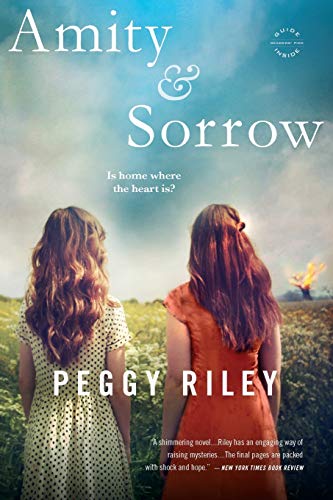 Beispielbild fr Amity and Sorrow : A Novel zum Verkauf von Better World Books: West