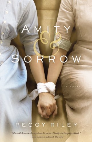 Imagen de archivo de Amity and Sorrow : A Novel a la venta por Better World Books