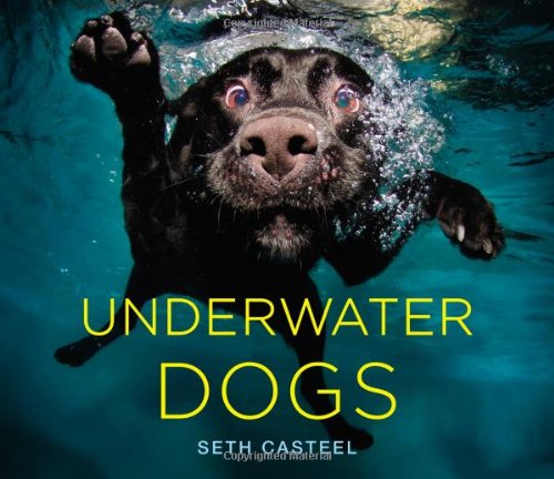 9780316227704: Underwater Dogs