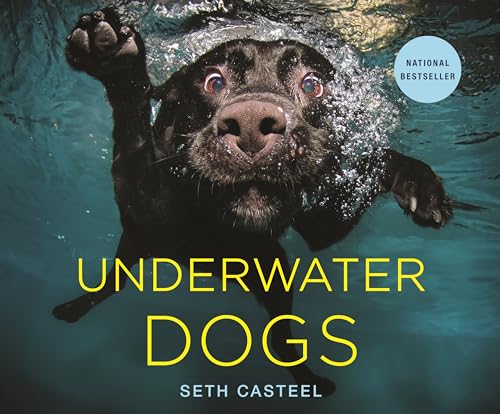 Stock image for Underwater Dogs for sale by Your Online Bookstore