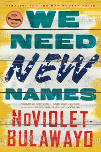Stock image for We Need New Names: A Novel for sale by SecondSale