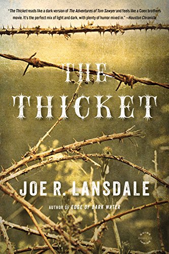 9780316248754: The Thicket