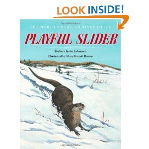 9780316249775: Playful Slider: The North American River Otter