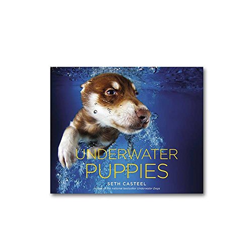 Stock image for Underwater Puppies for sale by Your Online Bookstore