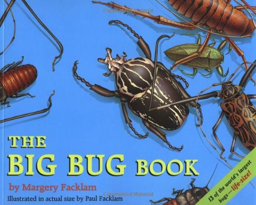 Stock image for The Big Bug Book for sale by ThriftBooks-Dallas