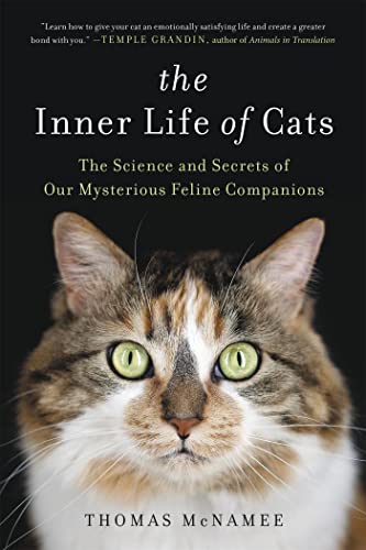 Beispielbild fr The Inner Life of Cats zum Verkauf von Wonder Book
