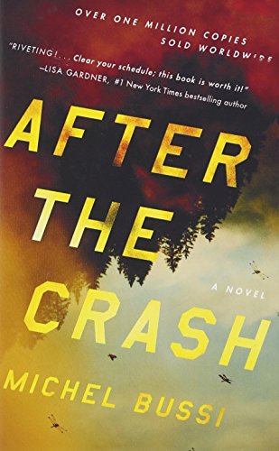 Stock image for After the Crash: A Novel for sale by Better World Books