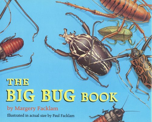 Beispielbild fr The Big Bug Book zum Verkauf von SecondSale