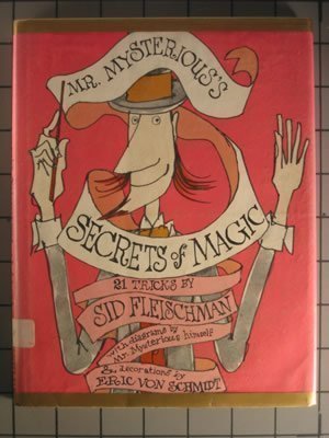 9780316285841: Mr. Mysterious's Secrets of Magic